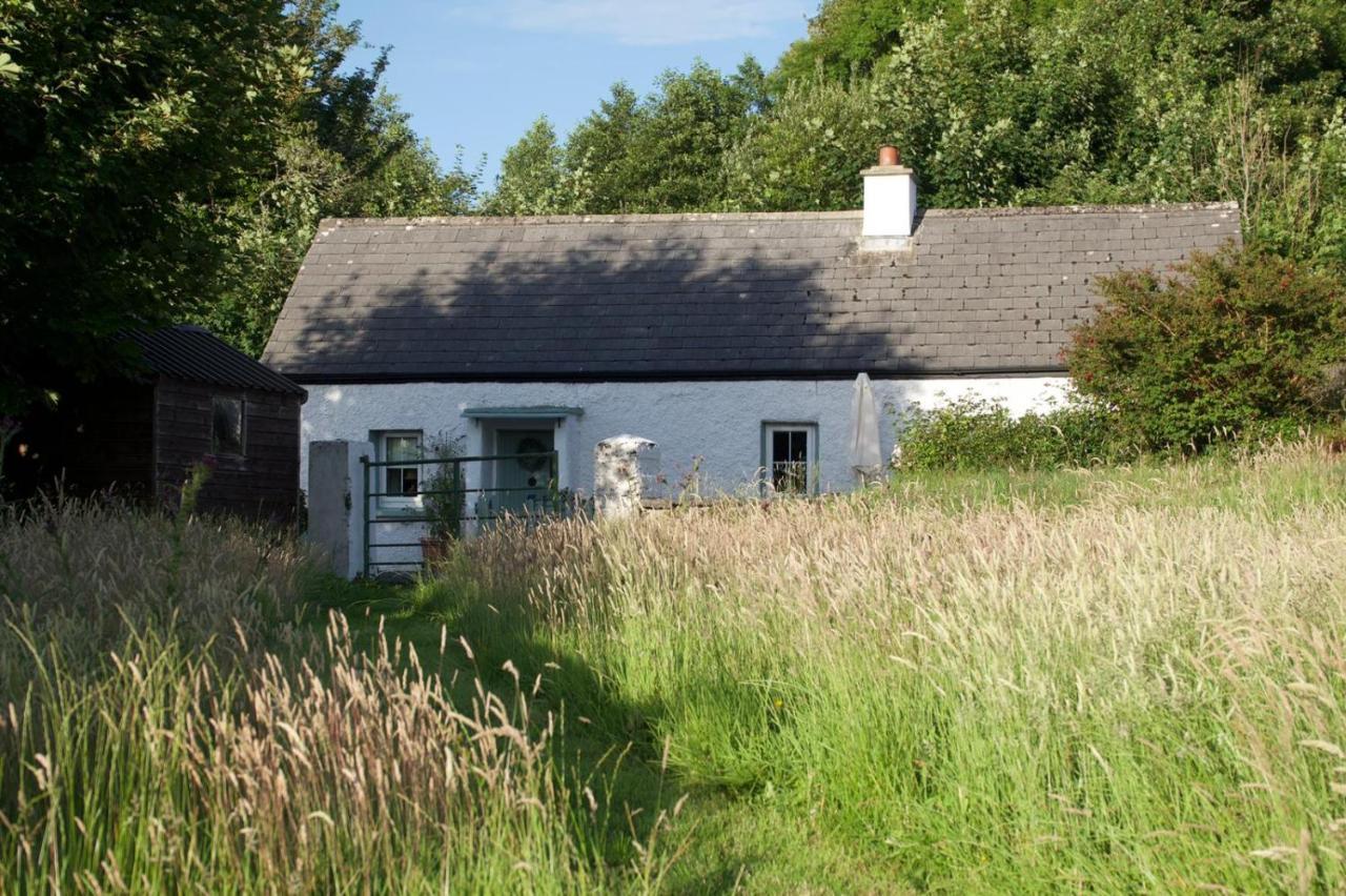 Clover Cottage سلايغو المظهر الخارجي الصورة